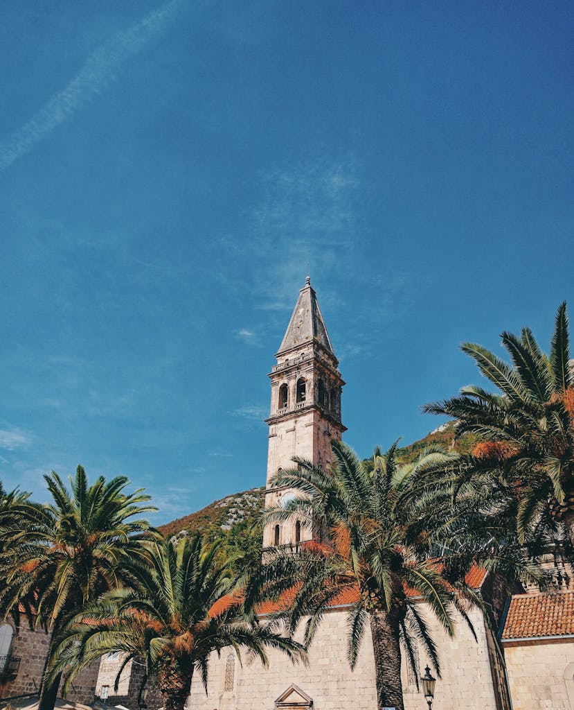 A scenic view of a historic tower in Perast, Montenegro, surrounded by palm trees under a bright blue sky.